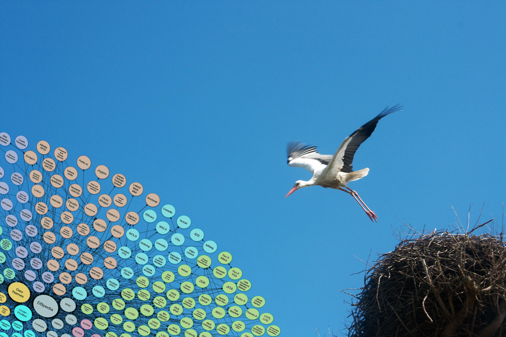 [photo of a stork getting Linked Data]