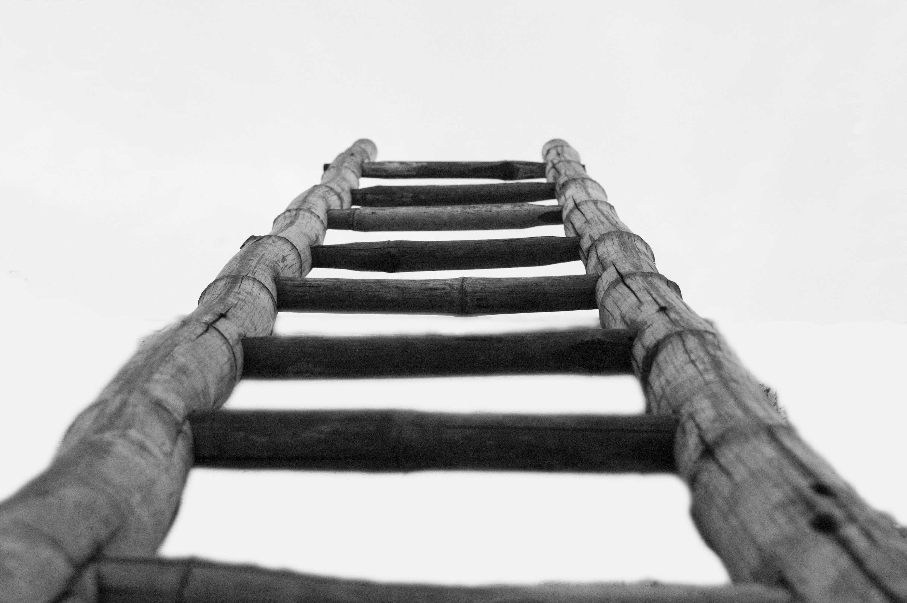 [photo of a ladder]